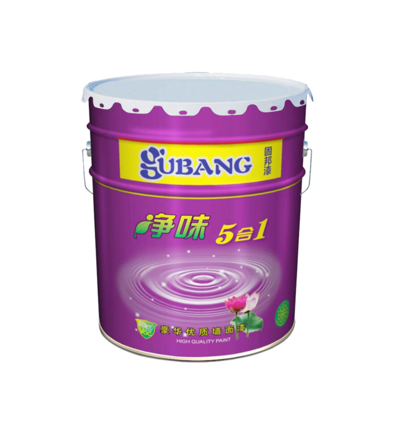 固邦净味5合1